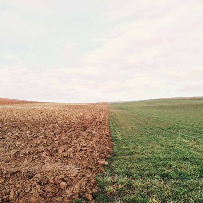 Image of a field with one side being green and plentiful and one being barren